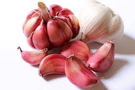 Garlic Allergy Causes Symptoms Cure
