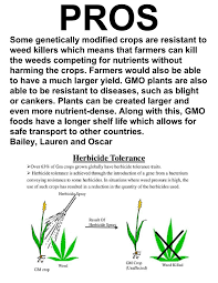 List of pros of genetically modified foods. Pros And Cons Of Genetically Modified Food Pages 1 8 Flip Pdf Download Fliphtml5