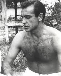 From Dr No to Never Say Never Again-Connery's chest was a sensual attraction