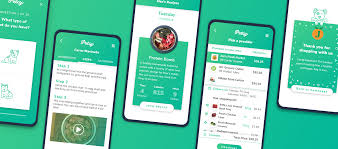 Head all the way to the left side and go towards the pavillion. Ui Ux Case Study A Step By Step Guide To The Process Of Designing A Pet Diet App By Guy Shomron Ux Collective