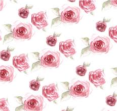 Download Ftestickers Watercolor Roses Background Overlay Pink Rose Floral Pattern Png Image With No Background Pngkey Com Download transparent floral pattern png for free on pngkey.com. pink rose floral pattern png image with