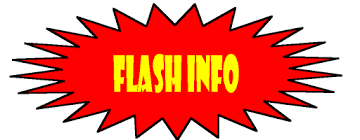 RÃ©sultat de recherche d'images pour "gir anime dictateur"