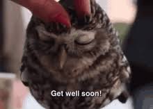 Funny Get Well Soon Memes Gifs Tenor