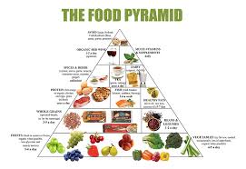 amazon com food pyramid healthy eating meal and diet plan