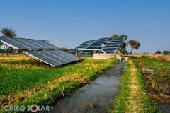 ‫الدليل الشامل لـ تكلفة الطاقة الشمسية للمزارع 2025 - Cairo Solar‬‎