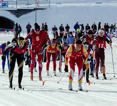 2016 Schedule Participating Teams Past Tournament Resuts