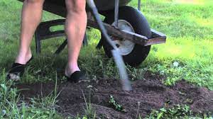 But there are plants that not only tolerate clay soil, but also help to break up and improve its texture and drainage. How To Grow With Clay Soil Youtube