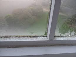 Moldy hotel room with the bed still made in 2020 abandoned. Mold On The Bedroom Window Picture Of Kings Court Hotel Alcester Tripadvisor