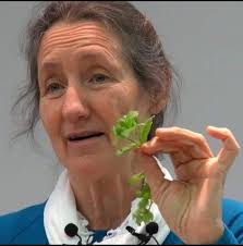 🍑🧀 Honey Peach White Cheddar Grilled Cheese Sandwich 🥪✨ Indulge in a  sweet and savory delight with this Honey Peach White Cheddar Grilled Cheese  Sandwich! Perfect for a cozy brunch or a