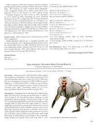 Baboon appeared on an episode of walker, texas ranger titled hall of fame in 1996. Pdf Hamadryas Baboon Papio Hamadryas