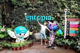 There are plenty of top quality resorts with particularity good accommodation for families. Best Places To Visit In Malaysia With Your Family