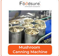 Mushroom Canning Machine