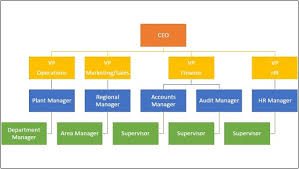 organizational structure tutorialspoint