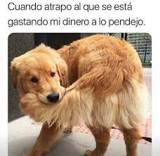 Pin En Memes 2019