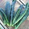 Kale is a leafy green vegetable with a wide range of nutrients that may offer a variety of health benefits. 1