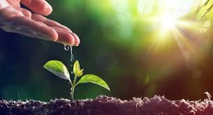 Maybe you would like to learn more about one of these? Bing Environment Quiz Alfintech Computer