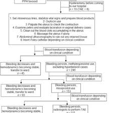 Flow Chart Of Pph Evaluation And Management Icu Z Intensive