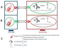 Learn about lung cancer early signs, symptoms, stages, treatment, life expectancy, survival rates, and prognosis. Cancers Free Full Text Next Generation Sequencing With Liquid Biopsies From Treatment Naive Non Small Cell Lung Carcinoma Patients Html