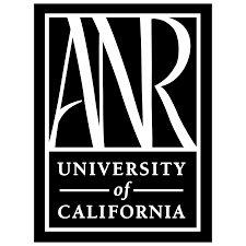 Nrk1 (nrk en) is the norwegian broadcasting corporation's (nrk) main television channel. Nrk Vector Svg Logo Download On Logowiki Net