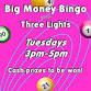 Bingo Afternoon At The Three Lights event image