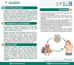 Image result for scabies transmission