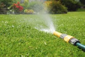 If at the end of the week it's rained. Watering Lawn Care Tips Learn When And How To Water A Lawn