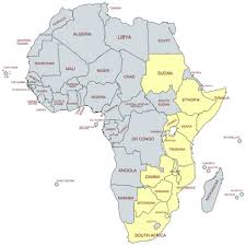 Image result for Turraea nilotica