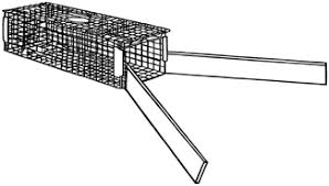 Evaluating Attractants For Live Trapping Nine Banded Armadillos Uga Cooperative Extension