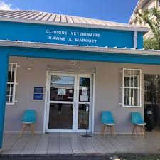 Clinique Vétérinaire Ravine A Marquet