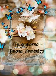 Finchè c'è caffè c'è speranza. Buona Domenica Creato Da Mia Mamma Mamy 58 Buona Domenica Buongiorno Domenica