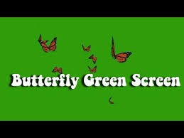 We did not find results for: Aesthetic Butterfly Green Screen Effect Youtube