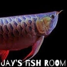 Hier zeig ich euch zwischendurch meine werke aus meinem raum� näh und bastelwerke. Jay S Room Youtube