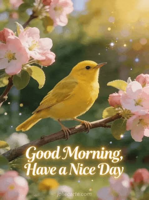 Good morning have a nice day