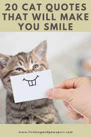 20 Cat Quotes That Will Melt Your Heart Pet Quotes Cat Kitten Quotes Cat Quotes