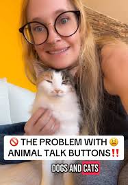 Why Do Cats Huff When Mad