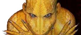 I rettiliani e i loro segreti scientifici | Centumcellae News