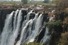 zambia nature