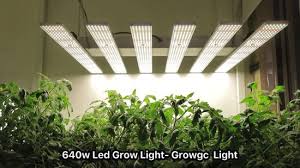 Maybe you would like to learn more about one of these? 2020 Best Uv Grow Led Lights 1000w Full Spectrum 301b Sf 4000 Led Light For Growing Indoor Plants China Uv Grow Light Grow Light Made In China Com