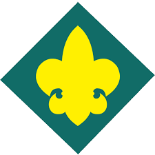 Originally, first class scout was the final and highest rank. Boy Scout Advancement Cebu Council
