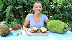 A ripe jackfruit will have a strong, fruity smell to it. How To Tell When Jackfruit Is Ripe Plus 3 Fun Ways To Eat It Youtube