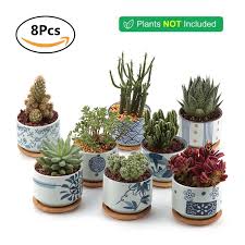 Instead of decorating with logs, we decorated with cactus! T4u 3 Inch Ceramic Japanese Style Serial Succulent Plant Pot Cactus Plant Pot Flower Pot Container Planter F Ceramic Succulent Planter Cactus Plant Pots Plants