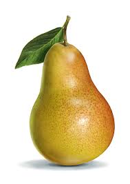 Bernd Wagenfeld S Illustrations New York Ny Way Art Inc Fruit Painting Fruits Drawing Fruit Photography