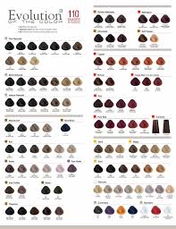 Alfaparf Milano Evolution Of The Color Wall Chart Hair Color Chart Blonde Color Chart Professional Hair Color Chart