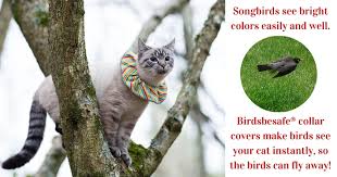 Bird Safe Cat Collar We Help Birds Be Safe From Cats Cats Animals Cat Collars