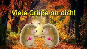 Hier sind 28 tolle vorlagen und bilder dafür. Guten Morgen Gruss Von Mir Whatsapp Video Kostenlos Youtube