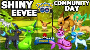 Poke Ak On Twitter Shiny Eevee Community Day In Pokemon Go All Shiny Eevee Evolutions Alolan Golem Https T Co 2qvgkvfyo1 It can evolve into 7 different pokemon when fed 25 candies, these pokemon are: shiny eevee evolutions alolan golem