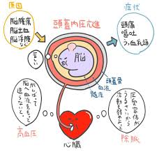 ゴロ 解剖生理イラスト rockybabyto さん twitter words word search puzzle body
