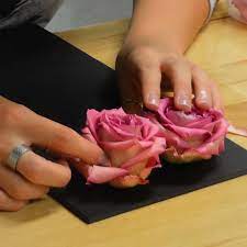 Versatile around the home · disinfects and cleans Funeral Flower Preservation Memorial Fantastic Blooms Ks Mo