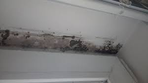 As it flows across the sheathing, moisture is pulled away along with the air movement. Indoor Mold Wikipedia