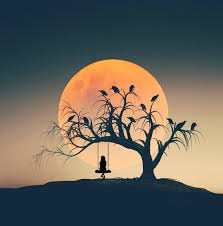 1 453 Likes 61 Comments Abdullah Evindar Abdullah Evindar On Instagram Akbabalarla Bir Gun Art Photography Moon Art Silhouette Art